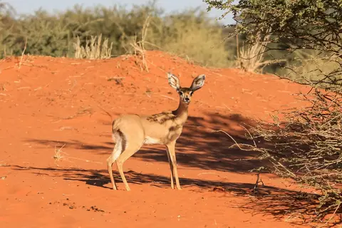 Namibia03-235.jpg