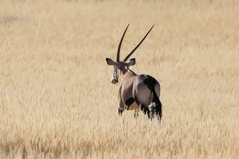 Namibia03-248.jpg