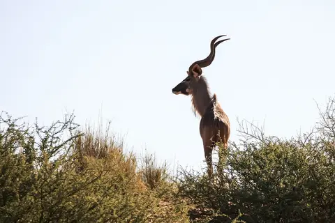 Namibia03-253.jpg