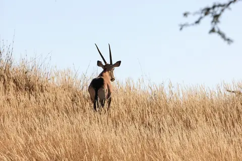 Namibia03-257.jpg