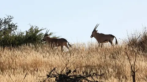 Namibia03-258.jpg