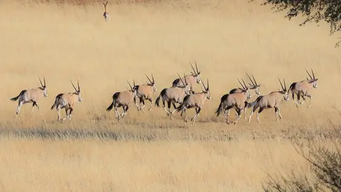 Namibia03-262.jpg