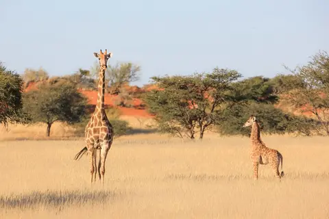 Namibia03-287.jpg