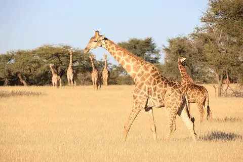 Namibia03-296.jpg