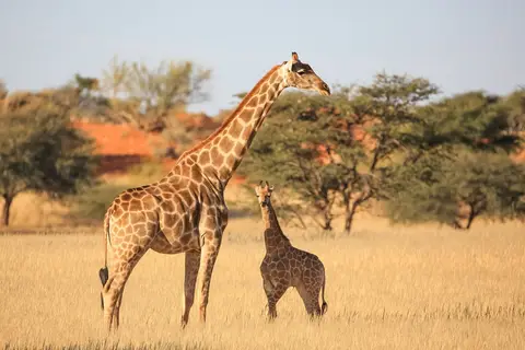 Namibia03-304.jpg