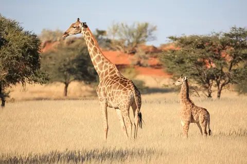 Namibia03-306.jpg