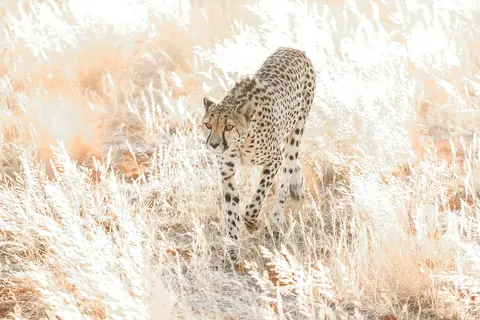 Namibia03-322.jpg