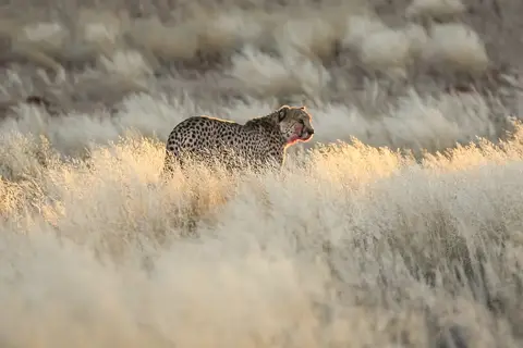 Namibia03-334.jpg
