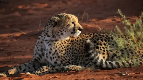 Namibia03-401.jpg