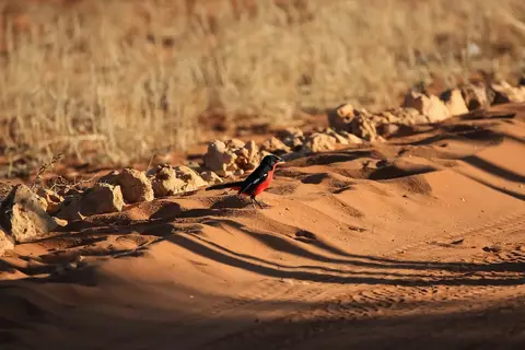 Namibia03-429.jpg