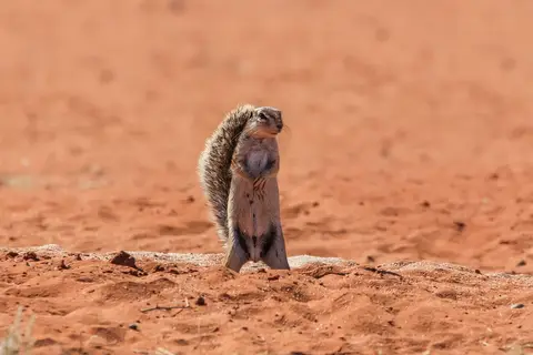 Namibia03-514.jpg