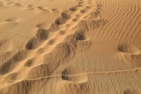 Namibia03-52.jpg