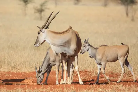 Namibia03-556.jpg