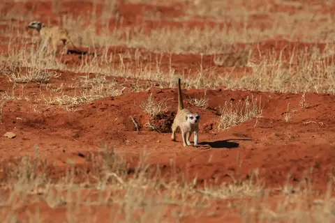 Namibia03-566.jpg