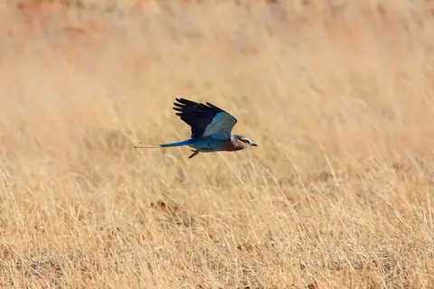 Namibia03-602.jpg