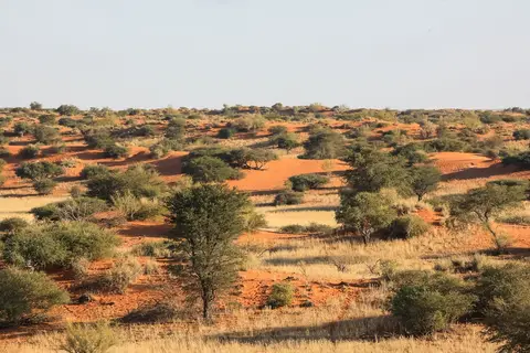 Namibia03-618.jpg