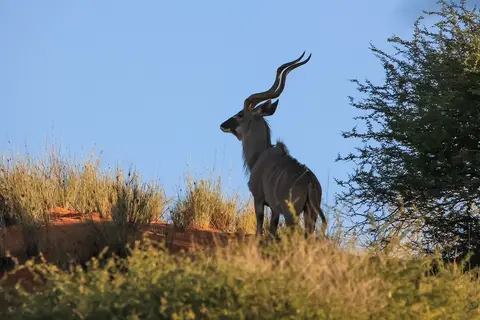 Namibia03-625.jpg