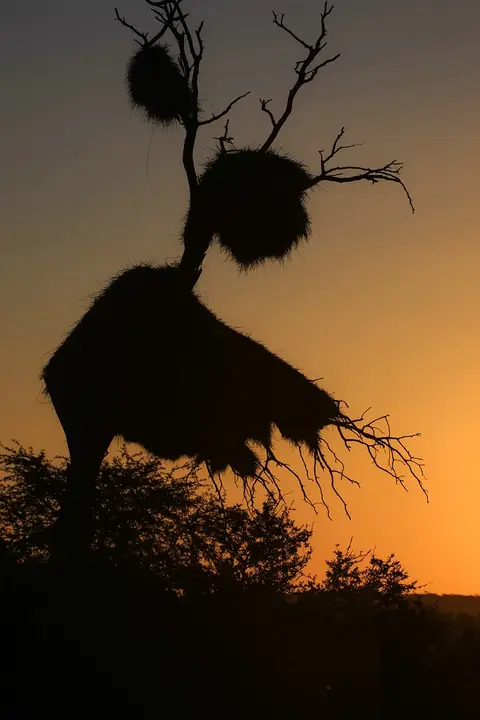 Namibia03-636.jpg