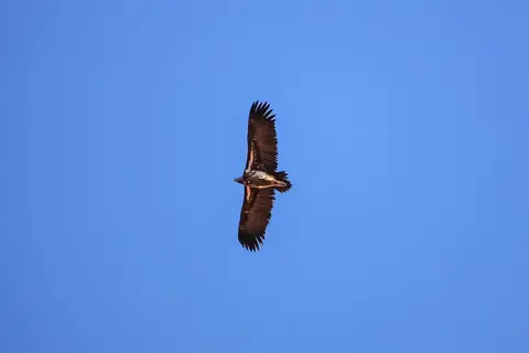Namibia03-654.jpg