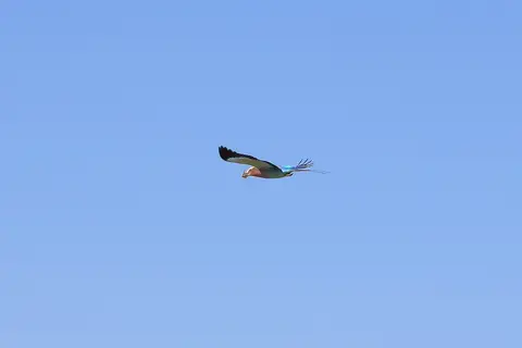 Namibia03-659.jpg
