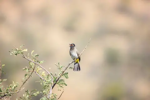 Namibia2016-9.jpg