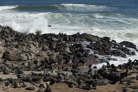 CapeCross22(12).jpg