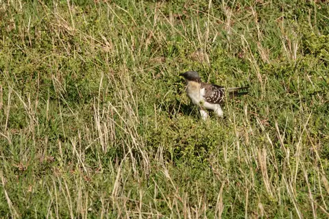 DSC01031_DxO.jpg