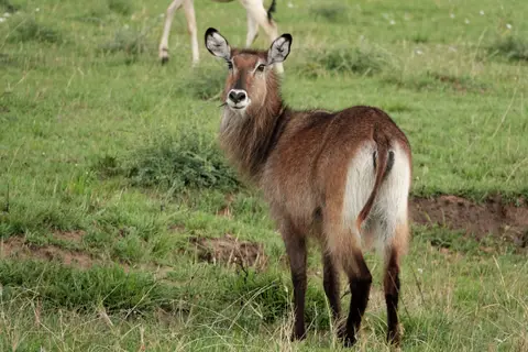 DSC01182_DxO.jpg