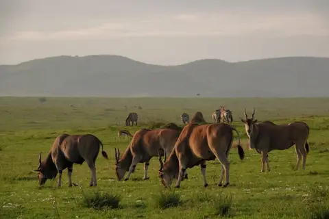 DSC01330_DxO.jpg