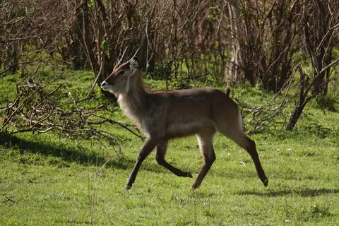 DSC01445_DxO.jpg