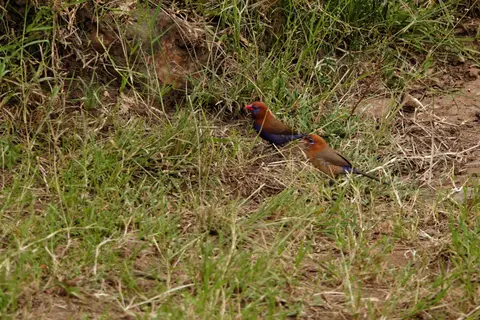 DSC02085_DxO.jpg