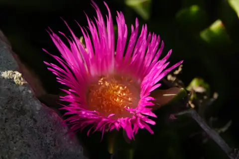DSC02292.JPG