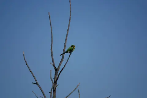 DSC03150.JPG