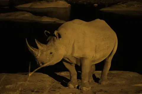 DSC03412_DxO.jpg