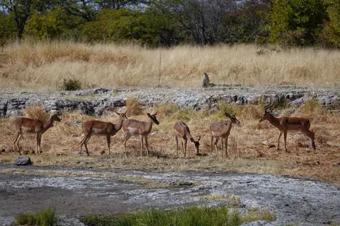 DSC03502_DxO.jpg