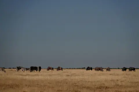 DSC03576_DxO.jpg