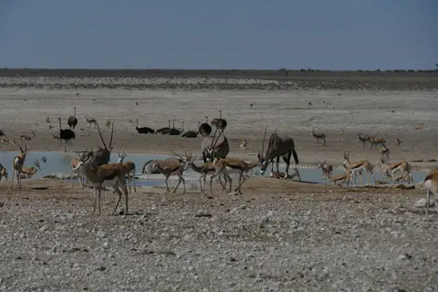 P1030433.JPG