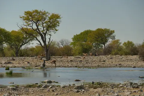 P1050337.JPG