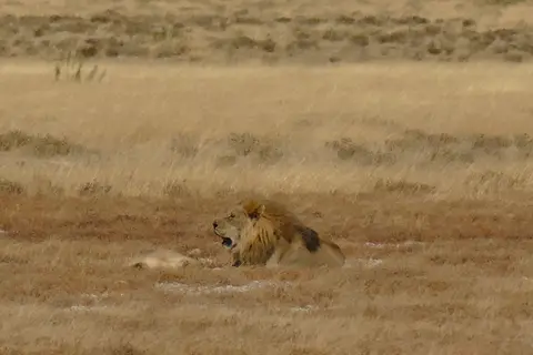P1050356.JPG