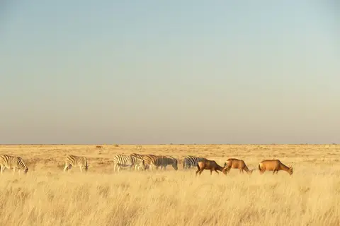 P1050432.JPG