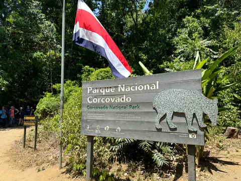 IMG_0587.JPEG