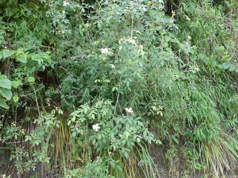 P1250759.JPG