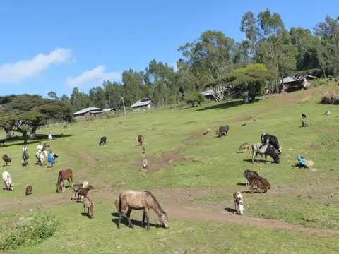 P1250886.JPG