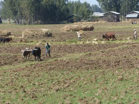 P1260237.JPG