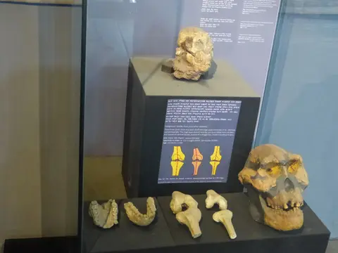 P1270429.JPG