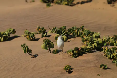 IMG_8601.JPG