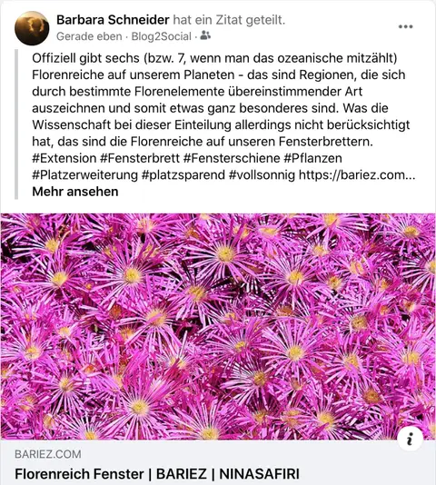 Florenreich_Fenster_Post.png