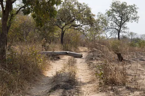 011_Sambia_20160902.jpg