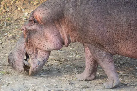 102_Sambia2016_20160907.jpg