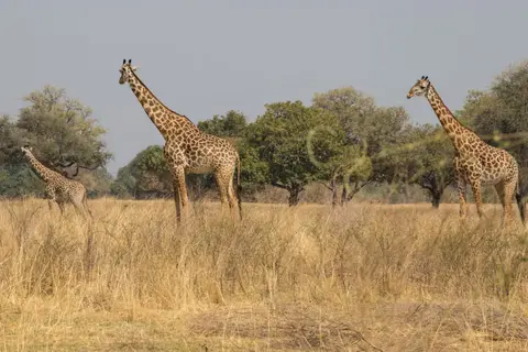 112_Sambia2016_20160907.jpg